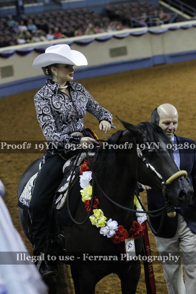 Proof 19YN_03280