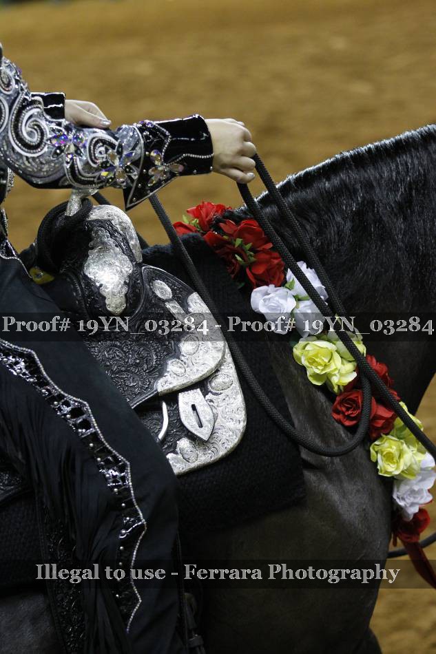Proof 19YN_03284