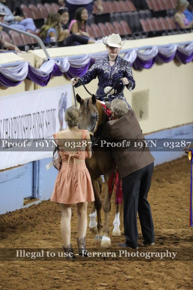 Proof 19YN_03287