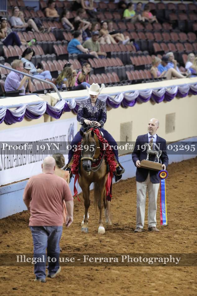 Proof 19YN_03295