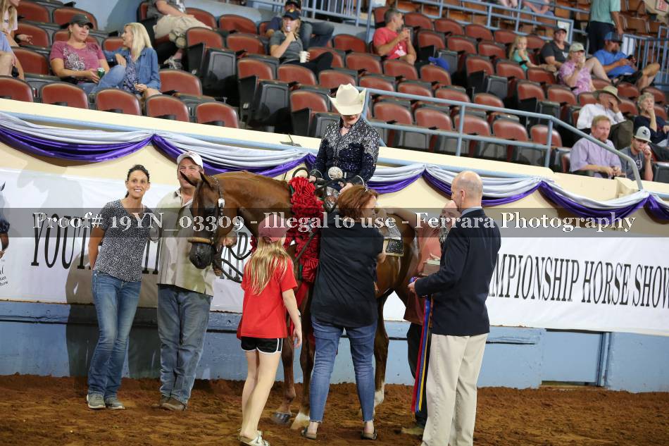 Proof 19YN_03309