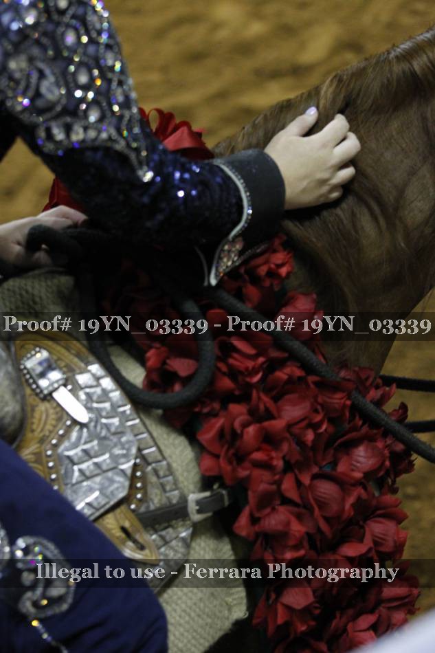 Proof 19YN_03339