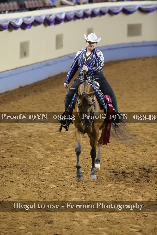 Proof 19YN_03343