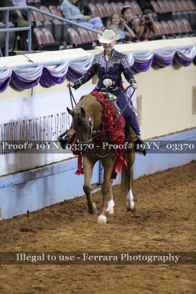 Proof 19YN_03370