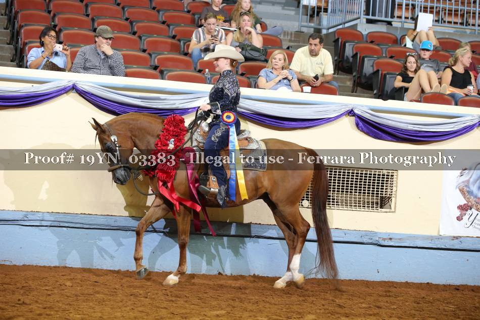 Proof 19YN_03383