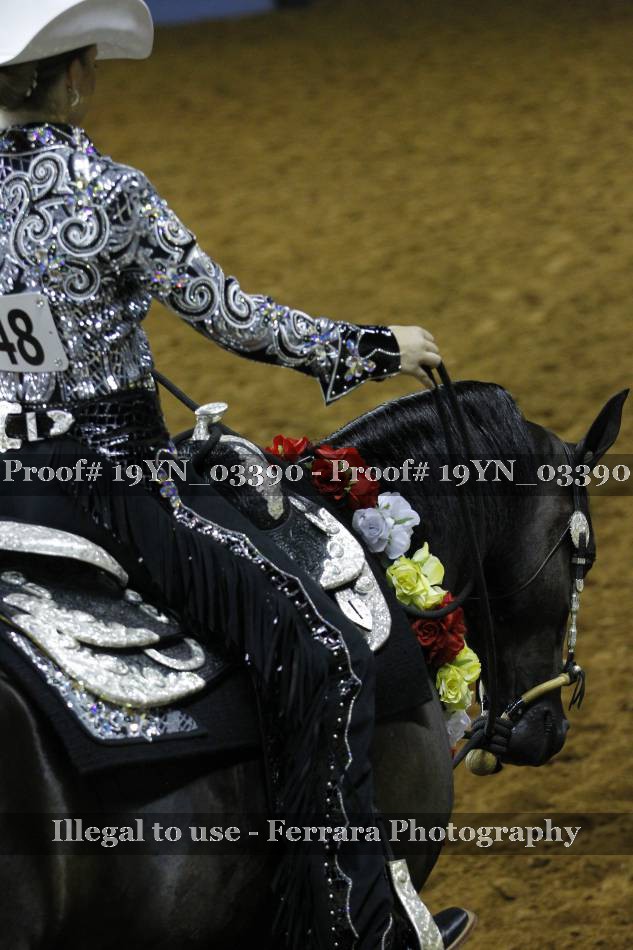 Proof 19YN_03390