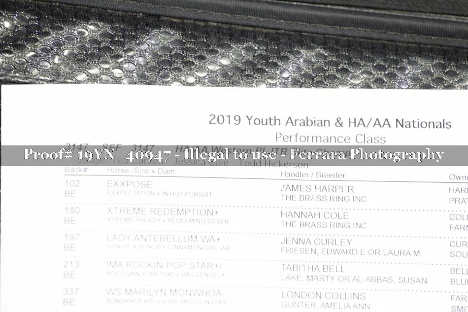 Proof 19YN_40947