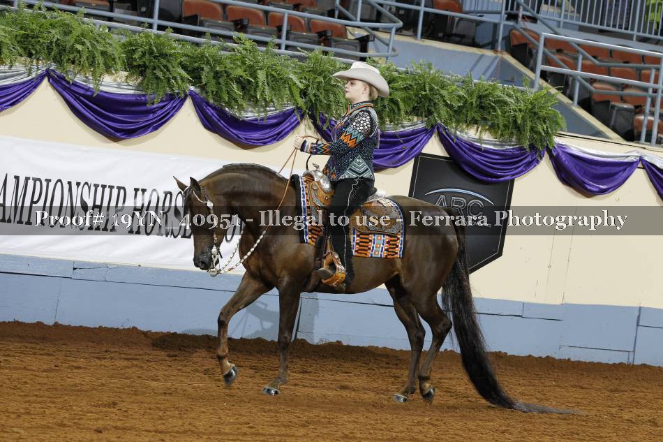 Proof 19YN_40951