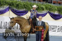 19YN_41003 proof
