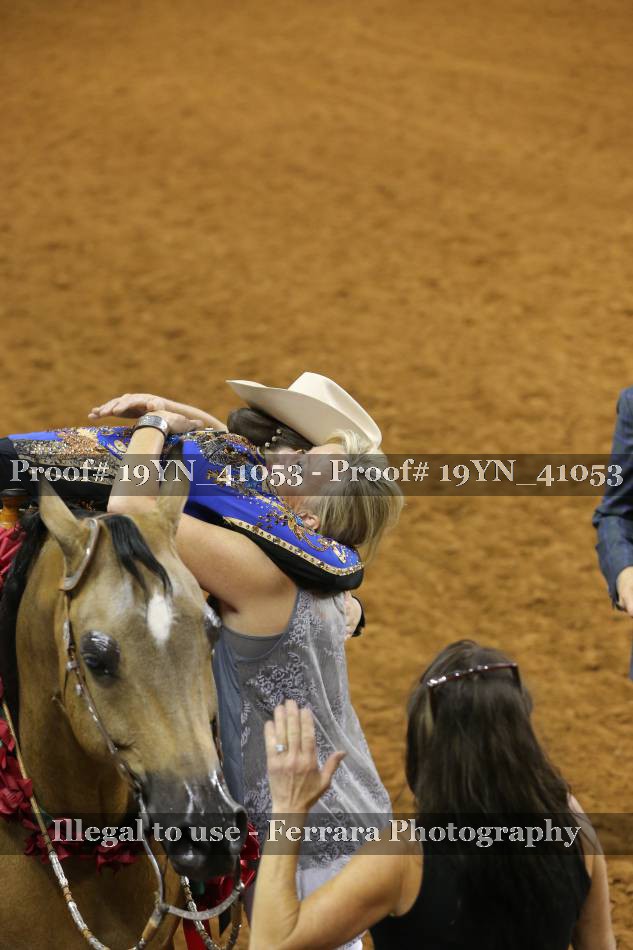 Proof 19YN_41053