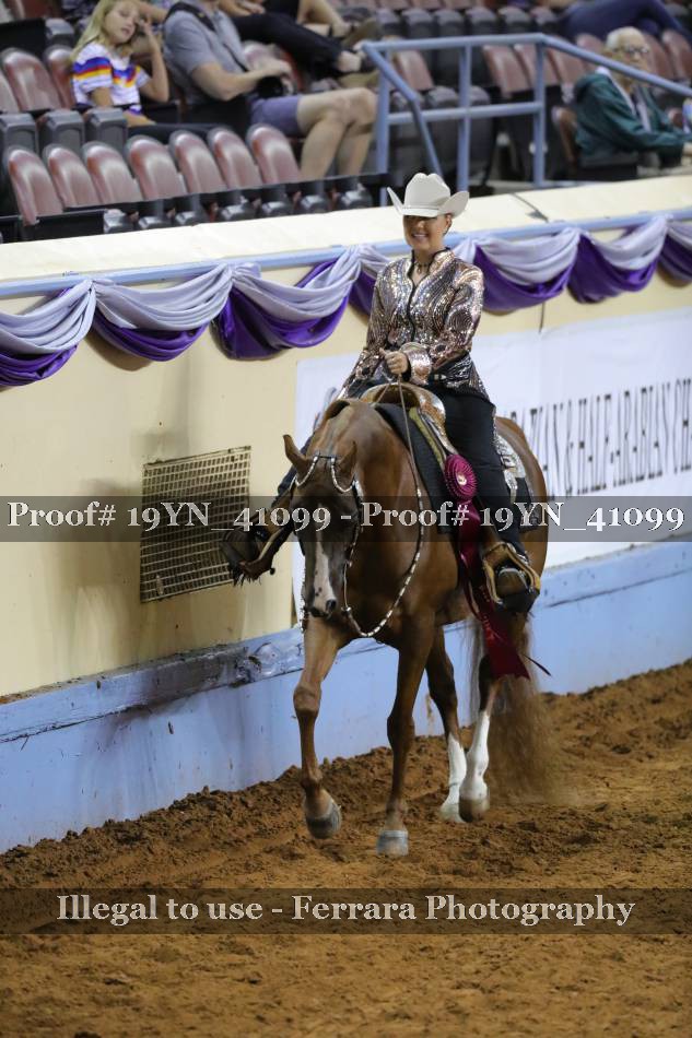 Proof 19YN_41099