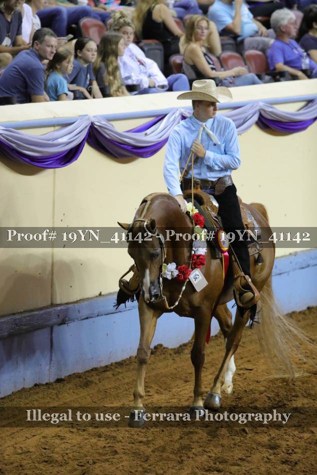Proof 19YN_41142