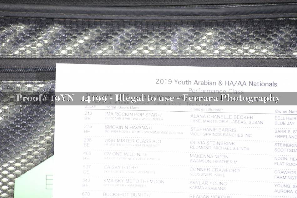 Proof 19YN_14199