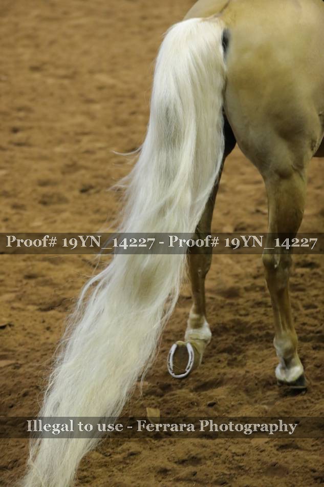 Proof 19YN_14227
