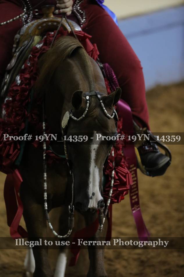 Proof 19YN_14359