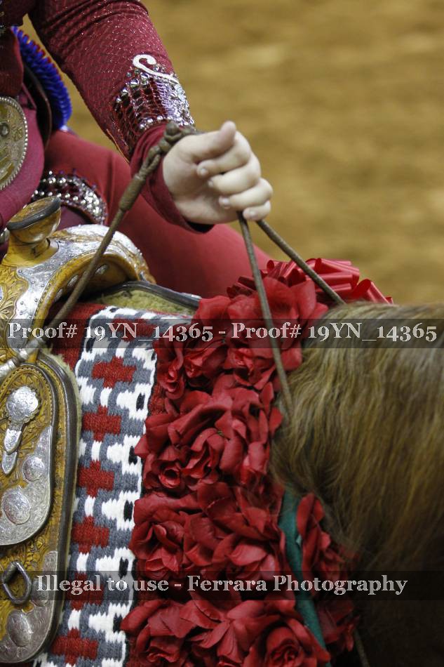 Proof 19YN_14365