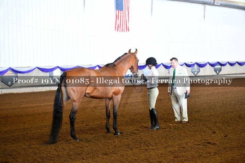 Proof 19YN_01085