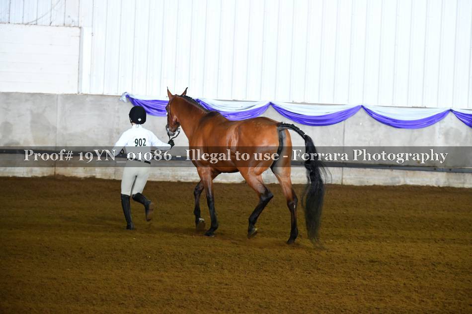 Proof 19YN_01086