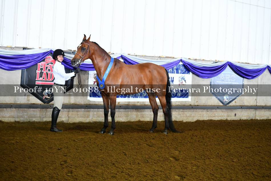 Proof 19YN_01088
