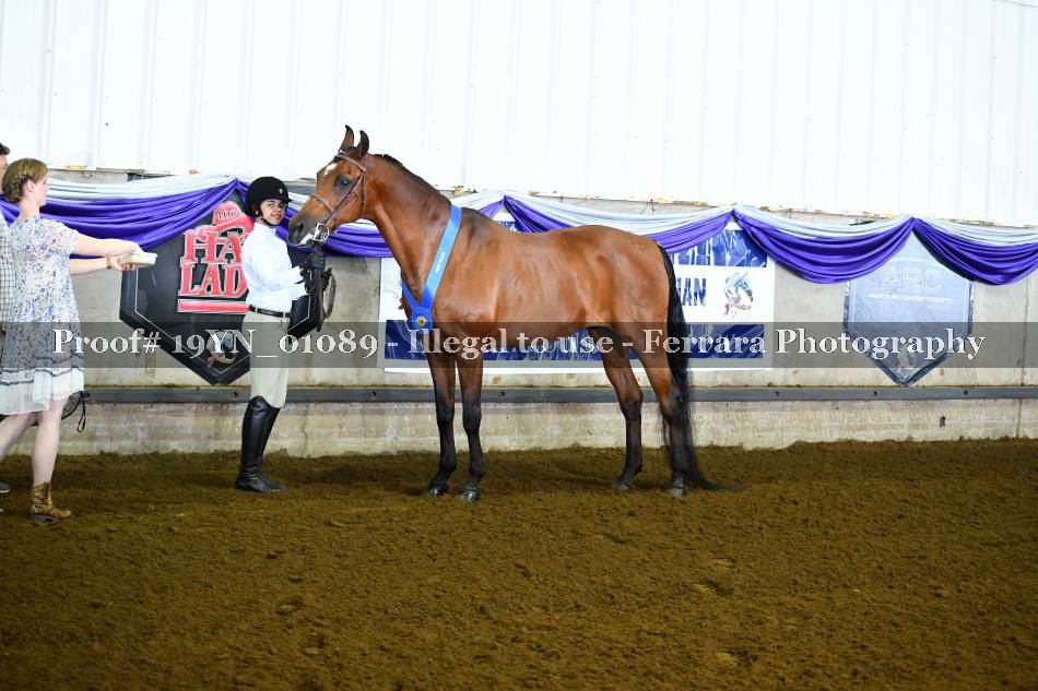 Proof 19YN_01089