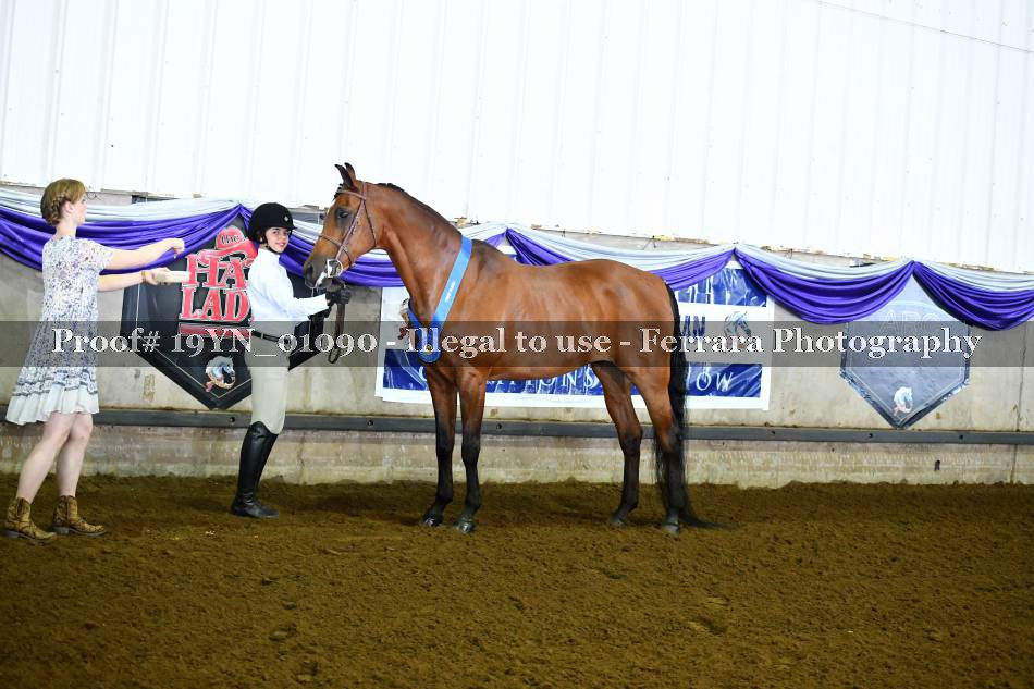 Proof 19YN_01090