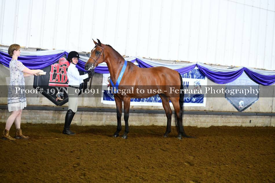Proof 19YN_01091