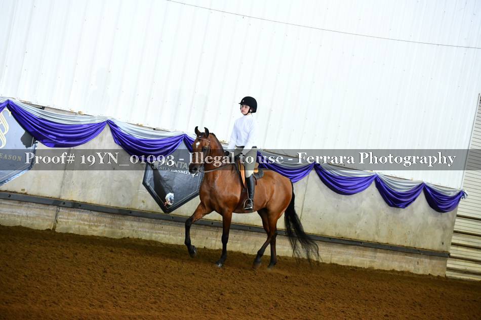 Proof 19YN_01093