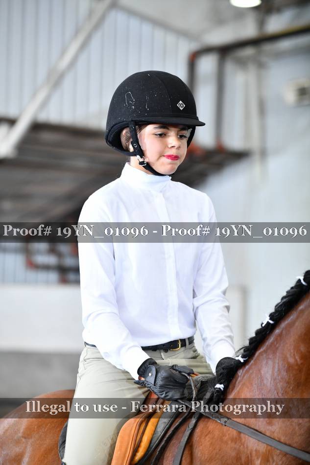 Proof 19YN_01096