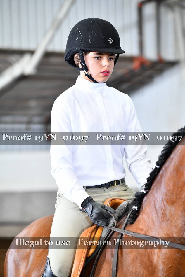 Proof 19YN_01097