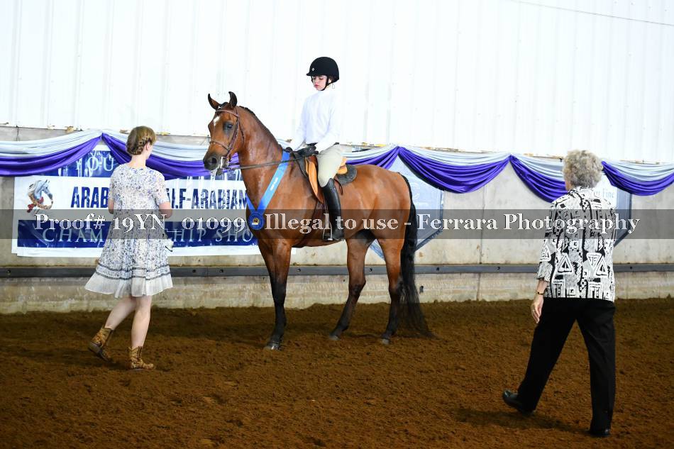 Proof 19YN_01099