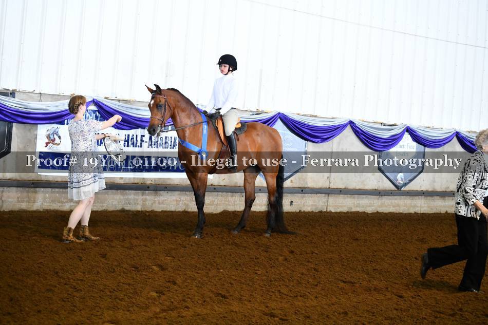Proof 19YN_01100