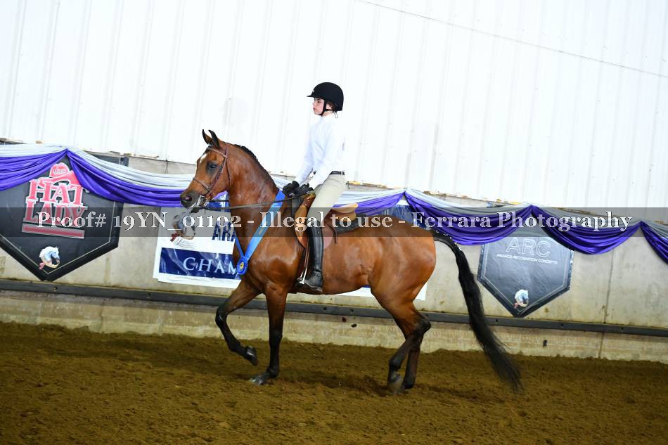 Proof 19YN_01102