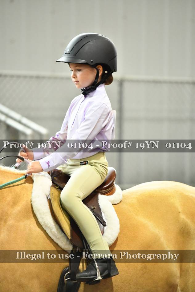Proof 19YN_01104