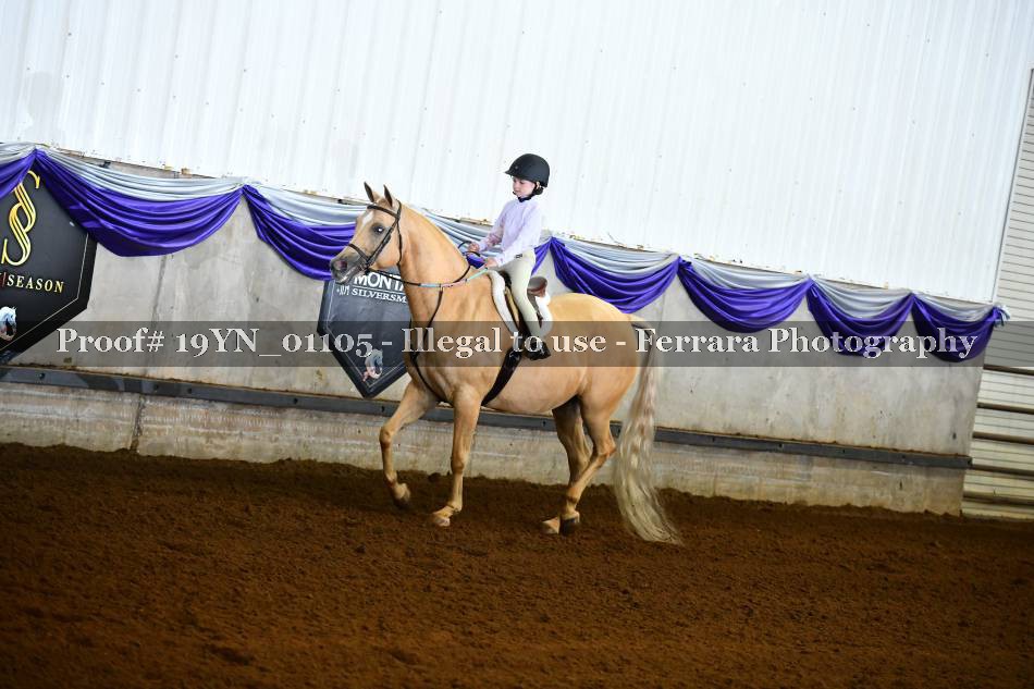 Proof 19YN_01105