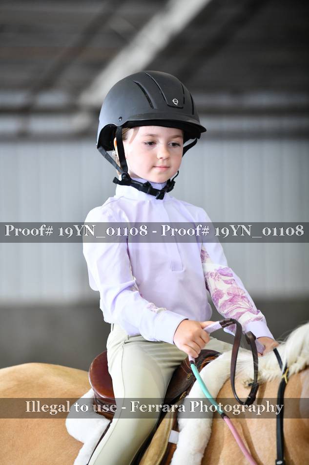 Proof 19YN_01108