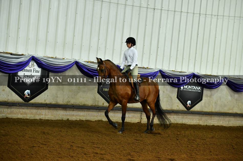 Proof 19YN_01111