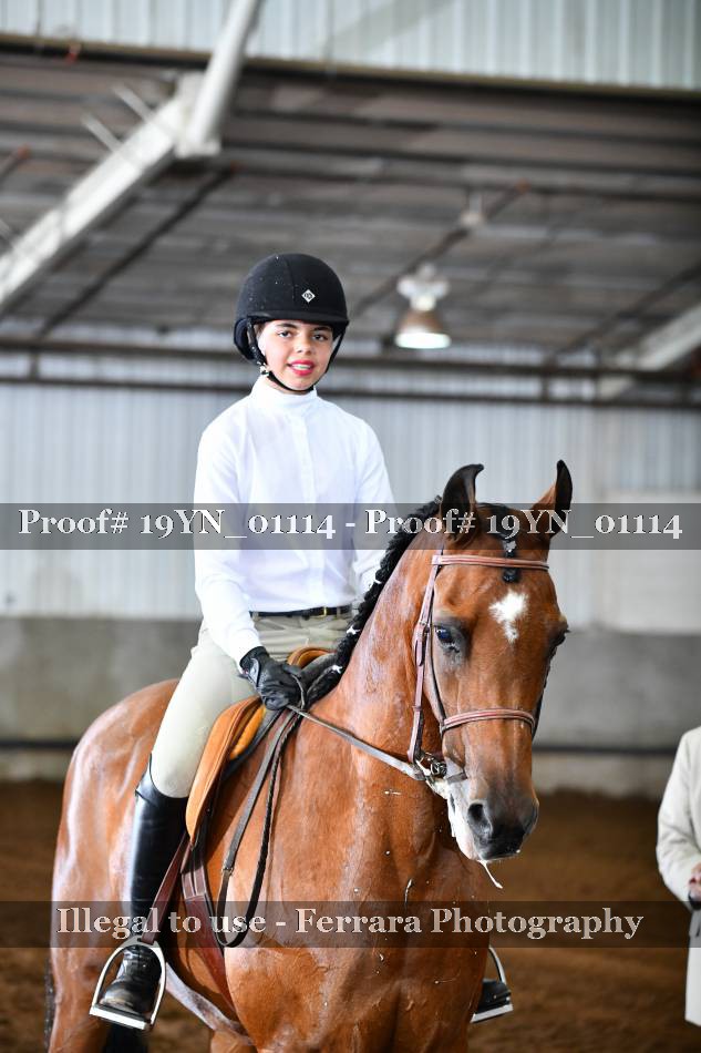 Proof 19YN_01114