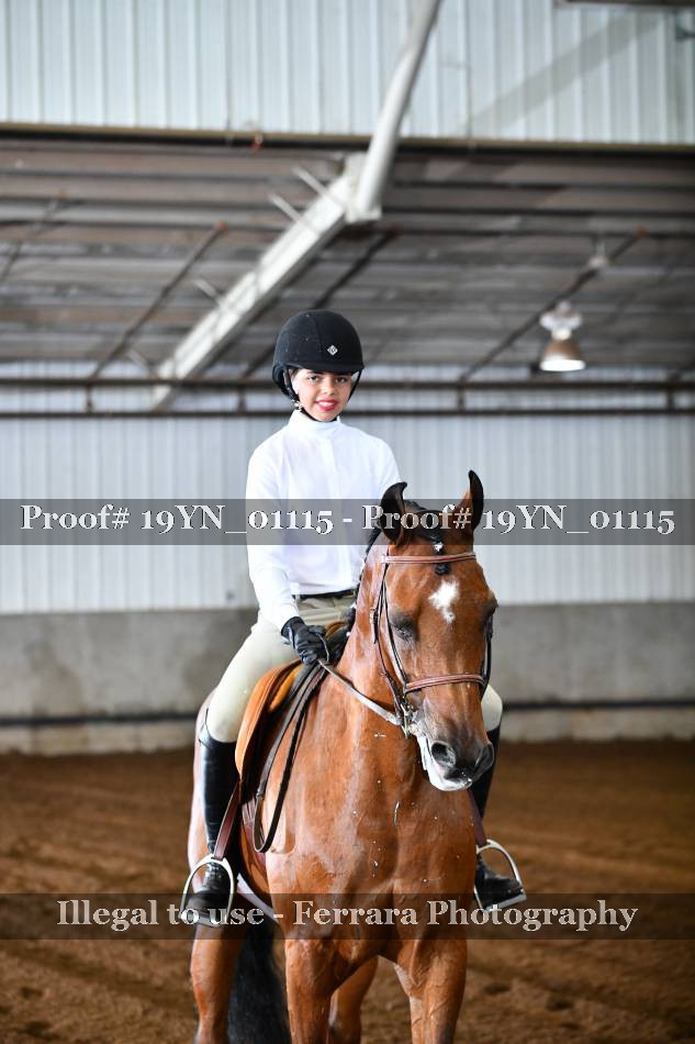 Proof 19YN_01115