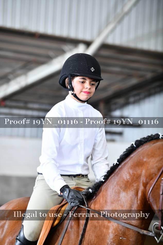 Proof 19YN_01116