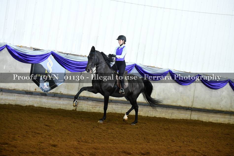 Proof 19YN_01136
