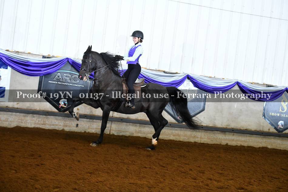 Proof 19YN_01137