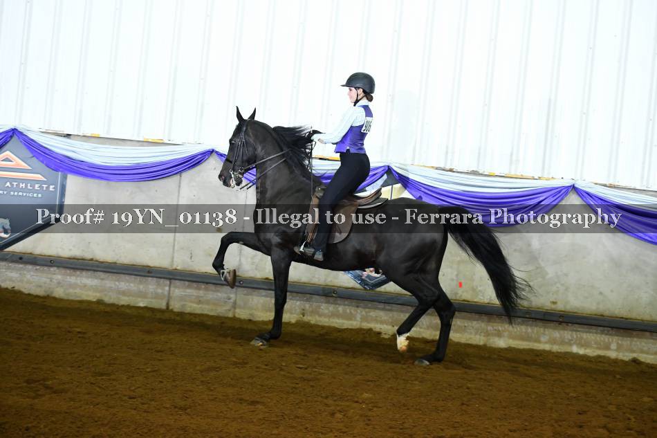 Proof 19YN_01138