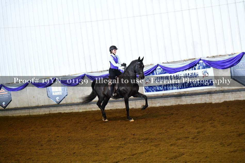 Proof 19YN_01139