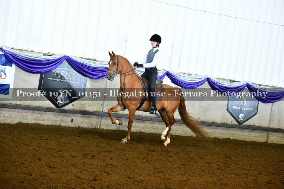 Proof 19YN_01151