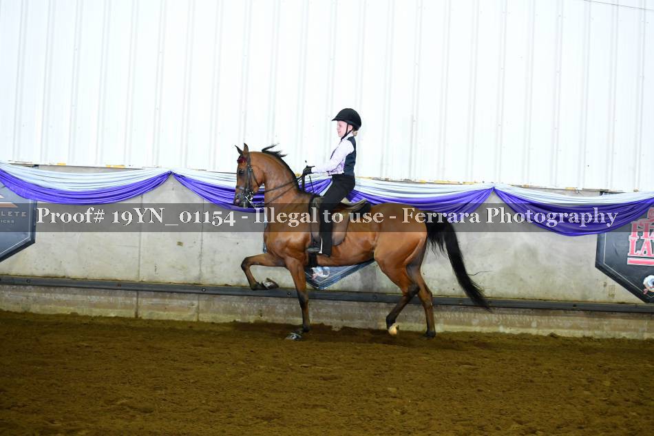 Proof 19YN_01154