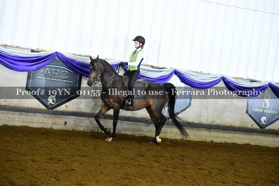 Proof 19YN_01155