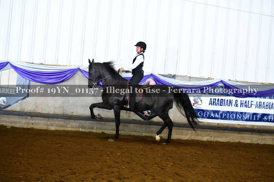 Proof 19YN_01157