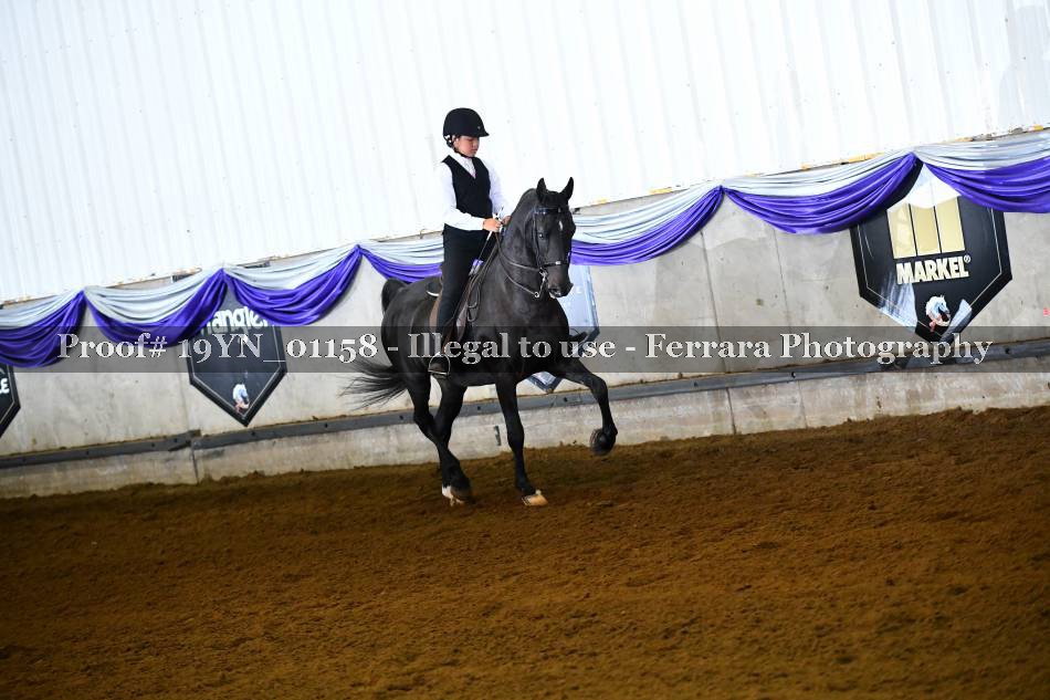 Proof 19YN_01158