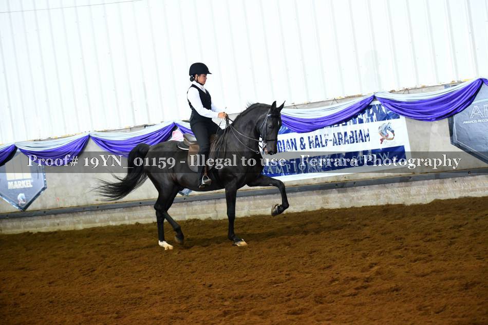 Proof 19YN_01159