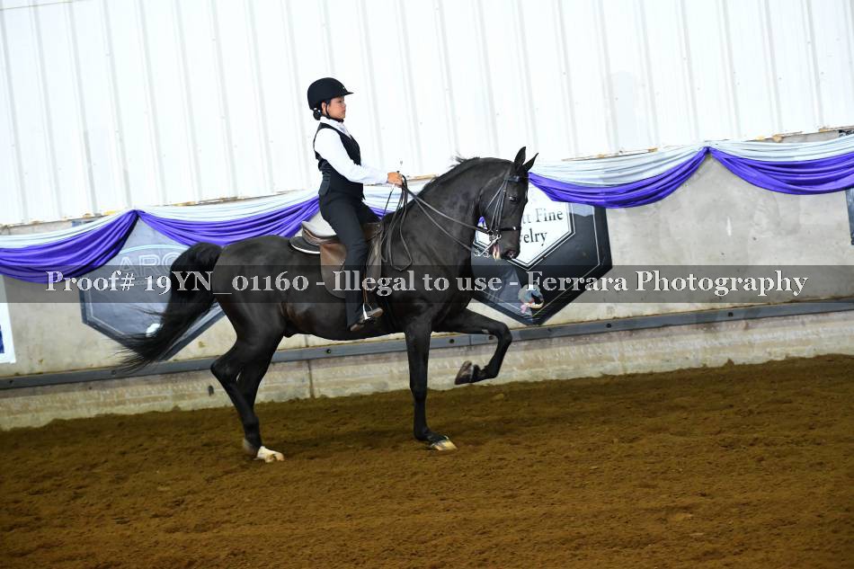 Proof 19YN_01160